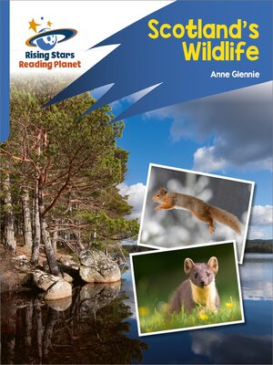 cover image of Scotland's Wildlife